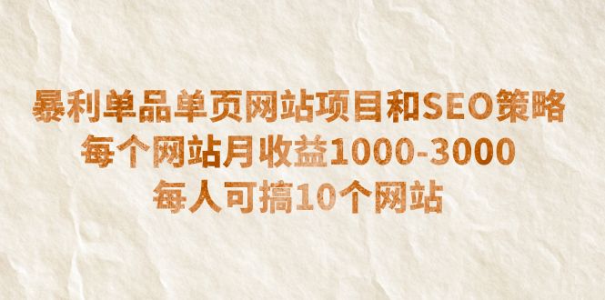 （6503期）暴利单品单页网站项目和SEO策略每个网站月收益1000-3000每人可搞10个-财仔梦想资源网