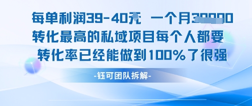 每单利润40一个月7k+转化最高的私域项目，每个人都要的产品转化率已经能做到100%-财仔梦想资源网