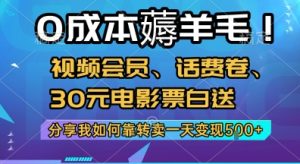 0成本薅羊毛!视频会员、话费卷、30元电影票白送，分享我如何靠转卖一天变现5张+【揭秘】-财仔梦想资源网