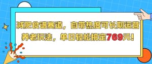 减肥食谱赛道，自带热度可长期运营，养老玩法，单日轻松搞定769-财仔梦想资源网