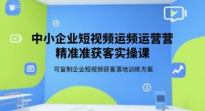 中小企业短视频运营精准获客实操课，可复制企业短视频获客落地训练方案-财仔梦想资源网
