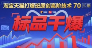 淘宝天猫打爆班原创高阶技术第70期：标品干爆-财仔梦想资源网