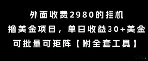 外面收费2980的挂G撸美金项目，单日收益30+美金，可批量可矩阵【揭秘】-财仔梦想资源网