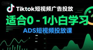 Tiktok短视频广告投放，适合0-1小白学习ADS短视频投放课-财仔梦想资源网