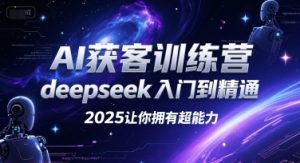 AI获客训练营，deepseek入门到精通，2025让你拥有超能力-财仔梦想资源网