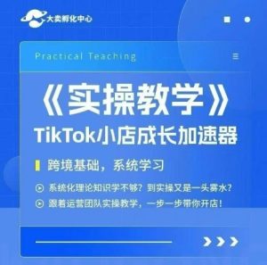 大卖家孵化中心TikTok实操课，TikTok小店成长加速器，跨境基础系统学习，一步一步带你开店-财仔梦想资源网