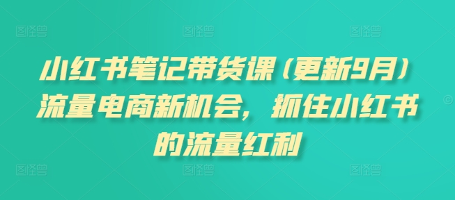 小红书笔记带货课(更新25年6月)流量电商新机会，抓住小红书的流量红利-财仔梦想资源网