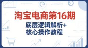 淘宝电商第16期，底层逻辑解析+核心操作教程，运营、推广提升能力的必学课程+配套资料-财仔梦想资源网