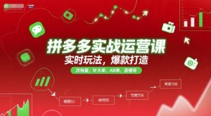 拼多多实战运营课，实时玩法，爆款打造，改销量，补大单，AB单，直播等（更新2025月）-财仔梦想资源网