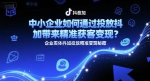 中小企业如何通过投放抖加带来精准获客变现？企业实体抖加投放精准变现秘籍-财仔梦想资源网