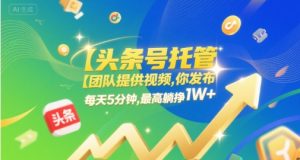 【头条号托管】团队提供视频，你发布，每天5分钟，最高躺挣1W+【揭秘】-财仔梦想资源网