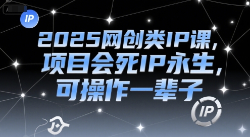 2025网创类IP课，项目会死IP永生，可操作一辈子-财仔梦想资源网