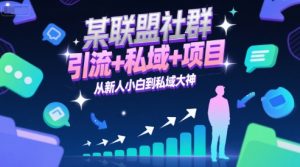 某联盟社群，引流+私域+项目，从新人小白到私域大神-财仔梦想资源网