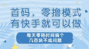 首码零撸项目，有快手就可以做，每天业务时间搞个几张不是问题【揭秘】-财仔梦想资源网