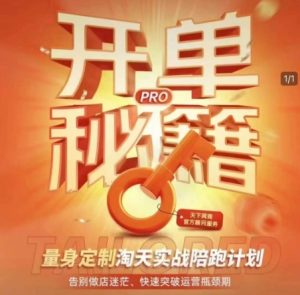 淘宝开单秘籍PRO，量身定制淘天实战陪跑计划，告别做店迷茫、快速突破运营瓶颈期（更新6月）-财仔梦想资源网