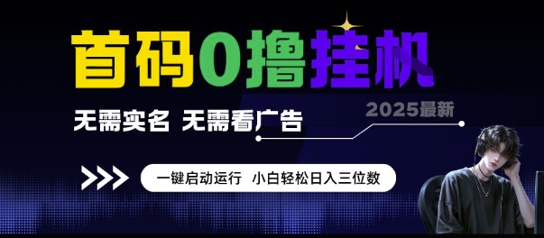 首码0撸挂G项目，无需实名无需看广告一键启动运行，小白轻松日入三位数【揭秘】-财仔梦想资源网