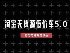 淘宝无货源2025VIP教程，​最新的淘宝无货源课程，1688代发，蓝海选品，零成本创业首选-财仔梦想资源网