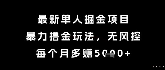 最新单人掘金项目，暴力撸金玩法，无风控，每个月多挣5k+【揭秘】-财仔梦想资源网