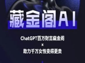 藏金阁AI-私域行动营-AI教程-财仔梦想资源网