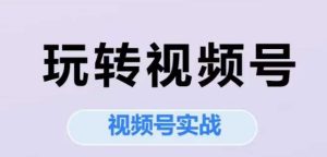 玩转视频号，视频号实战系列课-财仔梦想资源网