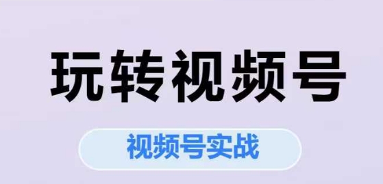 玩转视频号，视频号实战系列课-财仔梦想资源网