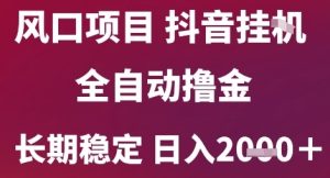 风口项目，六月最新玩法抖音无人挂G，全自动撸金，长期稳定日入2k+【揭秘】-财仔梦想资源网