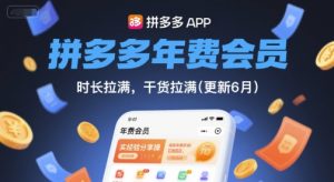 拼多多年费会员，实经验分享操，时长拉满，干货拉满(更新6月)-财仔梦想资源网