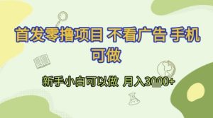 首发零撸项目不看广告手机可做新手小白可以做 月入3k+【揭秘】-财仔梦想资源网