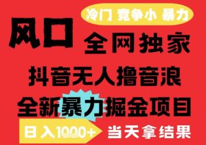 25年6月高爆抖音无人直播最新撸音浪掘金项目，解放双手小白可做，无脑日入1k+，门槛低【揭秘】-财仔梦想资源网
