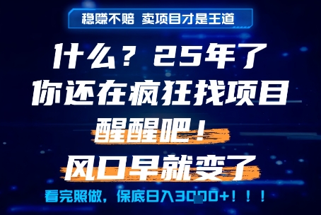 什么？25年你还在疯狂找项目做，醒醒吧，看完这些你全都懂了！【揭秘】-财仔梦想资源网