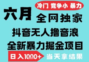2025年6月高爆抖音无人直播最新撸音浪掘金项目，无脑日入1k+，低门槛小白可做，可矩阵放大【揭秘】-财仔梦想资源网