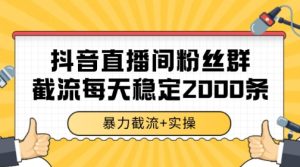 抖音直播间粉丝群暴力截流，一台电脑每天稳定2000条数据【揭秘】-财仔梦想资源网