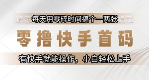 零撸快手首码，每天用零碎时间搞个一两张，有快手就能操作小白轻松上手【揭秘】-财仔梦想资源网