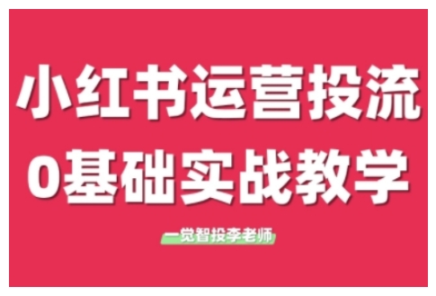 小红书运营投流，小红书广告投放从0到1的实战课，学完即可开始投放（更新）-财仔梦想资源网