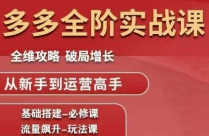 拼多多全阶实战课程，全维攻略，破局增长，从新手到运营高手-财仔梦想资源网