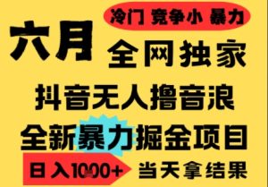 25年6月高爆抖音无人直播最新撸音浪掘金项目，小白可做，无脑日入1k+，门槛低可批量矩阵【揭秘】-财仔梦想资源网