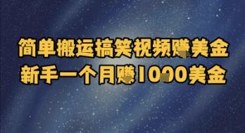 简单搬运搞笑视频挣美金，新手一个月入1k美金-财仔梦想资源网