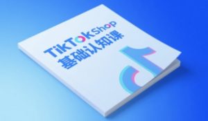 TikTok小店基础认知课，助力学员从0到1掌握TikTok电商运营全链路认知-财仔梦想资源网