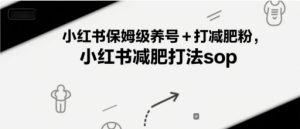 小红书保姆级养号+打减肥粉，小红书减肥打法sop-财仔梦想资源网
