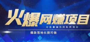 火爆全自动搬砖项目，可批量矩阵操作，爆款落地长期可做【揭秘】-财仔梦想资源网