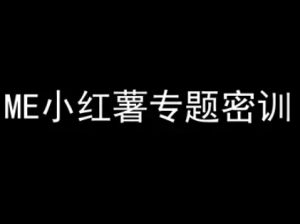 ME小红薯专题密训-小红书电商教程-财仔梦想资源网