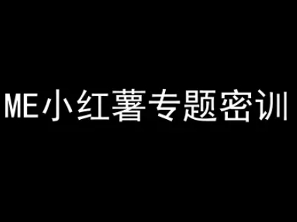 ME小红薯专题密训-小红书电商教程-财仔梦想资源网