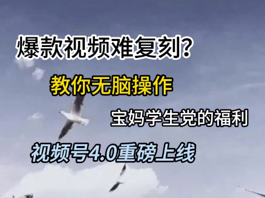 视频号4.0重磅上线，爆款视频难复刻？教你无脑操作宝妈学生党的福利【揭秘】-财仔梦想资源网
