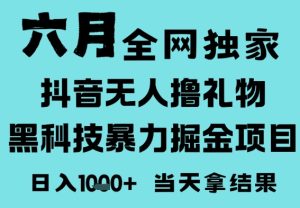 25年6月高爆抖音无人直播最新撸音浪掘金项目，门槛低小白可做，无脑日入1k，可矩阵放大【揭秘】-财仔梦想资源网