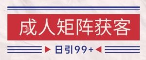 小红书某音橙人赛道引流获客，自热矩阵日引200+【揭秘】-财仔梦想资源网