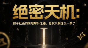 付费文章：绝密天机：如今社会的阶层攀升之路，也就只剩这么一条了-财仔梦想资源网