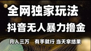 全网独家玩法抖音无人暴力撸金，月入3W，有手就行，当天拿结果【揭秘】-财仔梦想资源网