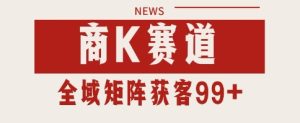 小红书某音商K赛道引流获客自热矩阵日引200+【揭秘】-财仔梦想资源网