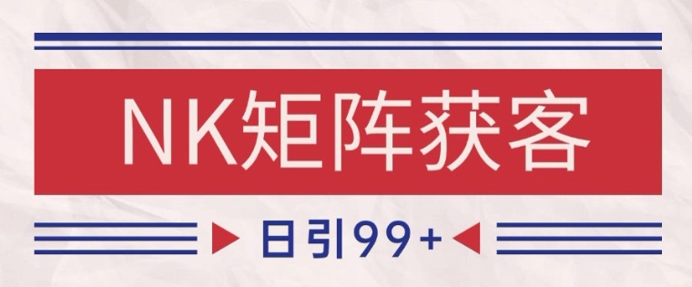 小红书某音NK赛道引流获客自热矩阵日引200+【揭秘】-财仔梦想资源网