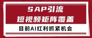 小红书某音sap赛道引流获客自热矩阵日引200+【揭秘】-财仔梦想资源网
